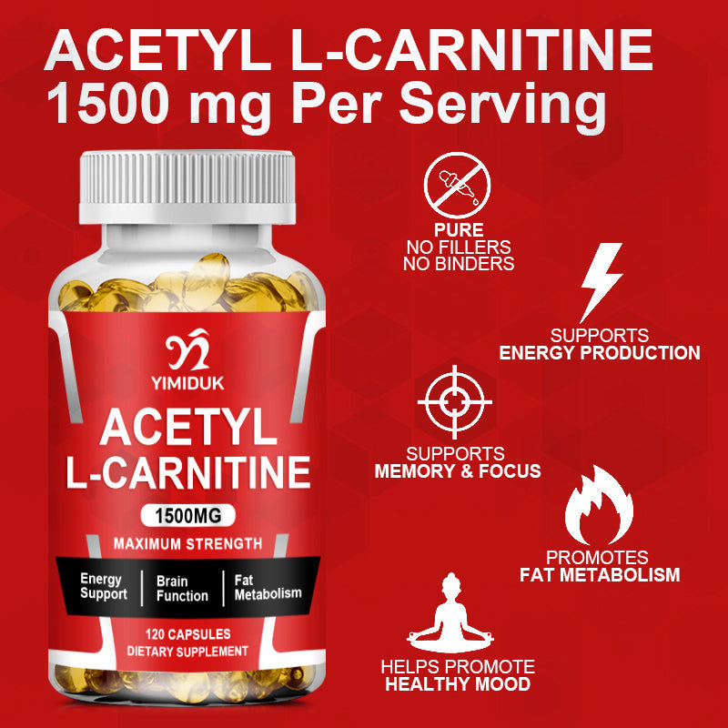 Acetyl L-Carnitine Capsule Supports Memory Focus Increase Body Performance Metabolic